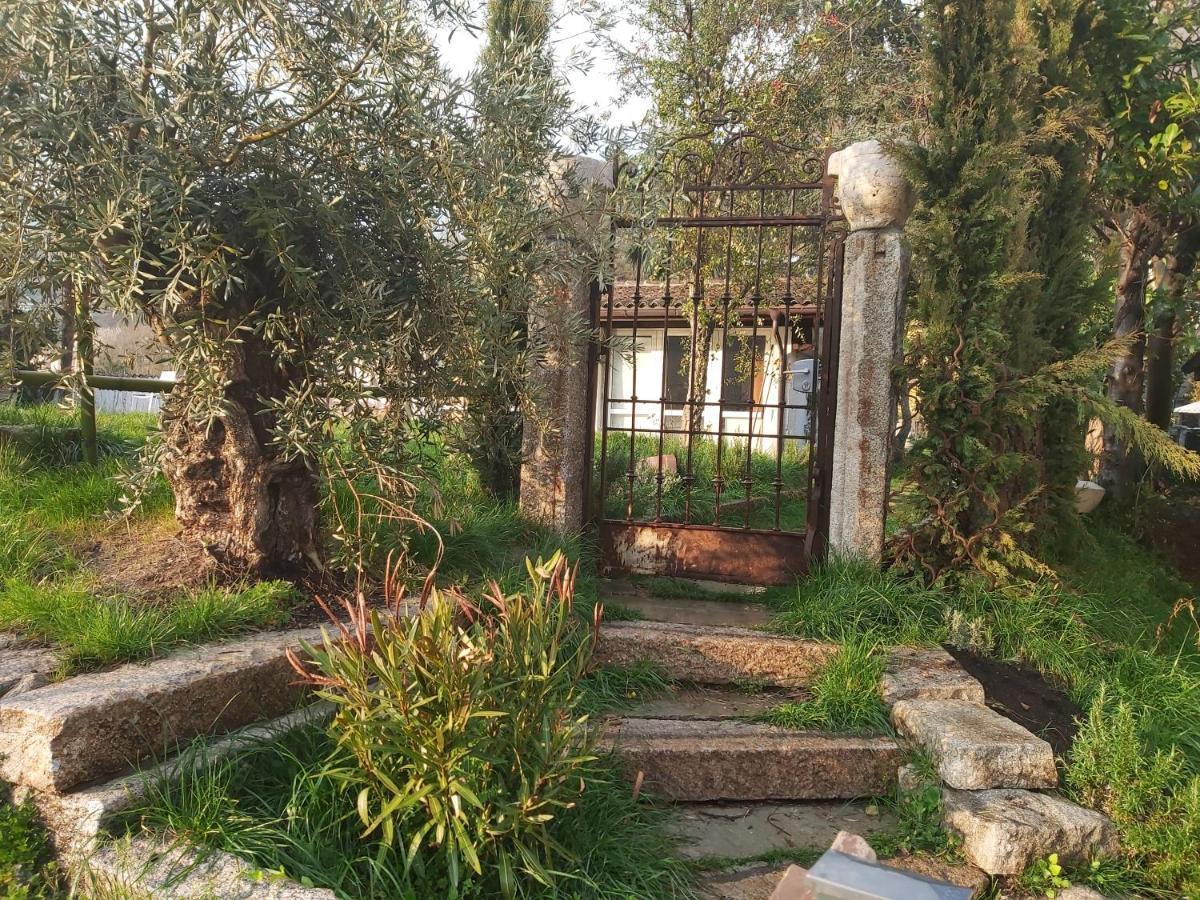 Purasca Romantico Palazzo Dei Ulivi المظهر الخارجي الصورة